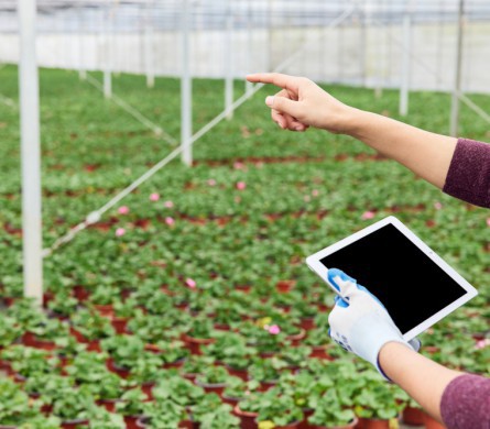 CA88集团(中国区) - 唯一官方网站